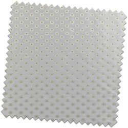 Bill-Beaumont-Retreat-Dotty-Pistachio-Fabric-for-made-to-Measure-Roman-Blind-600x600